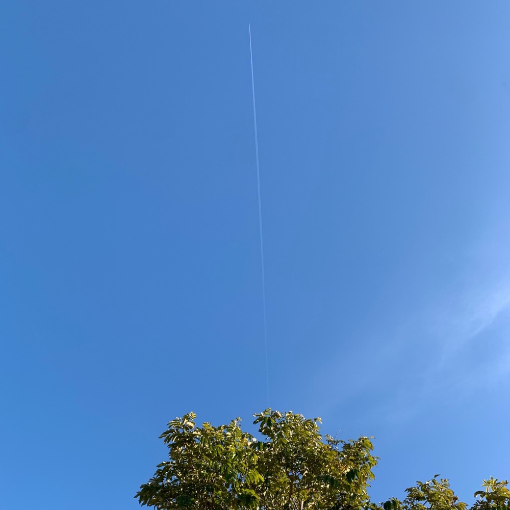 Meet your Posher, Jacqueline